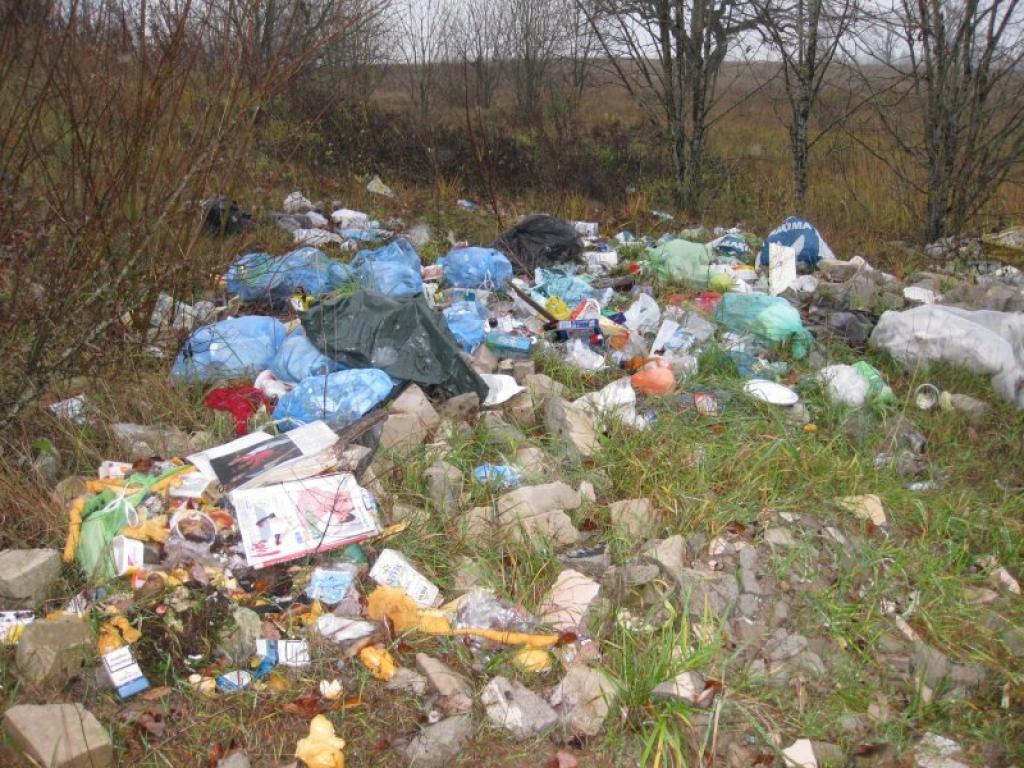 Beļavas pagasta teritorijā neapzinīgi iedzīvotāji izgāž sadzīves un būvgružus tiem neparedzētā vietā.
Autors: Inita Savicka