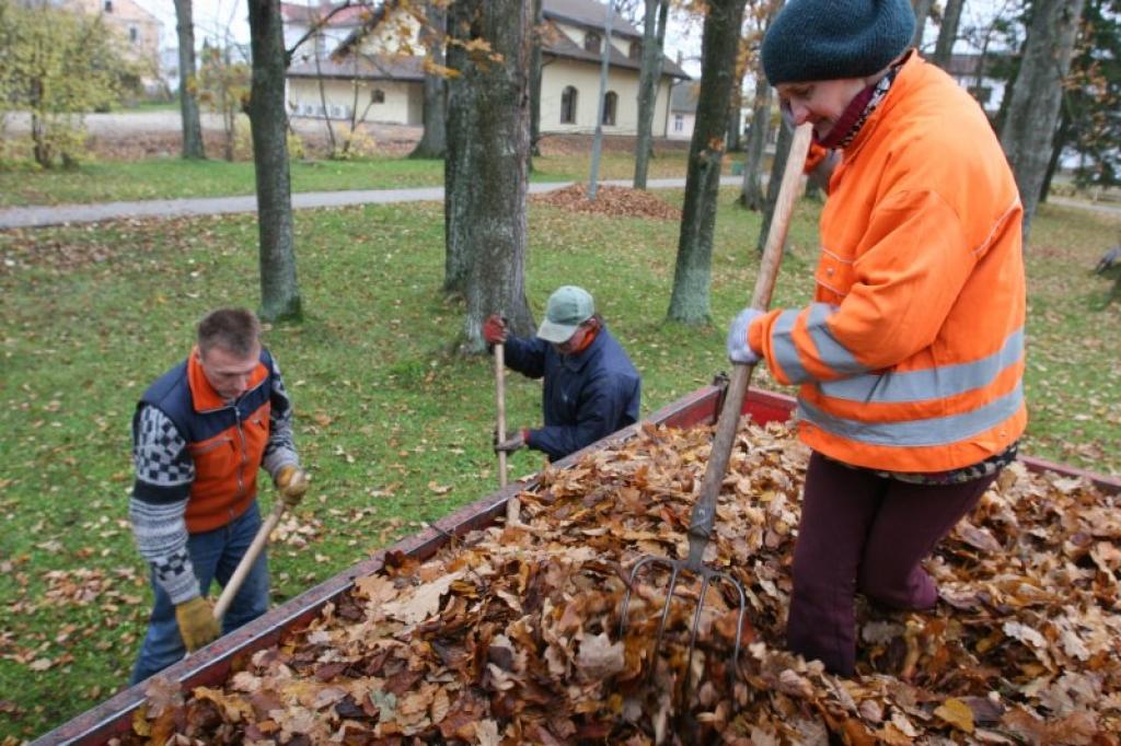 Pašvaldības ierādītajā kompastēšanas laukumā pilsētas nomalē tik izvestas un pamazāk krājas rudens lapas, kuras savāc viņas vadītās iestādes un 