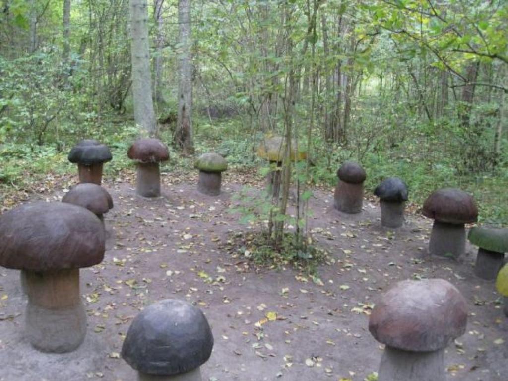 Autors: Tamāra Ulase