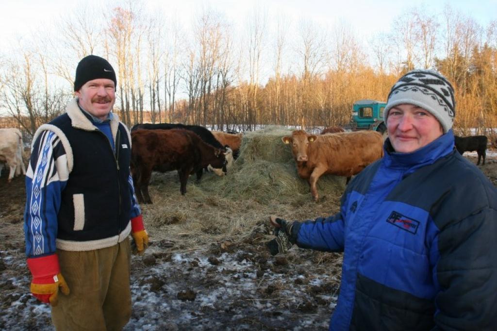 “Apzināmies, ka ļoti jāstrādā pie ganāmpulka izkopšanas, daudz vēl jāmācās, bet šobrīd mums jāizvēlas, turpināt ganāmpulka attīstību vai to izkopt,” saka SIA “GB Kalnāji” saimnieki Ruta un Guntis Brektes.
Autors: Gatis Bogdanovs