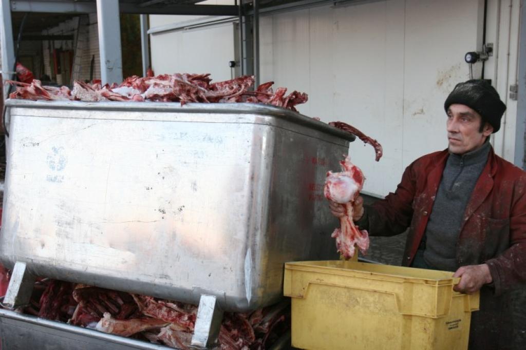 Sakarā ar to, ka nav elektrības, lapsu barošanai paredzētie produkti var sabojāties un tos nav iespējams sasmalcināt, lai izbarotu dzīvniekiem. Par to satraukts Zvērsaimniecības virtuves strādnieks Normunds Tinkuss. 
Autors: Gatis Bogdanovs