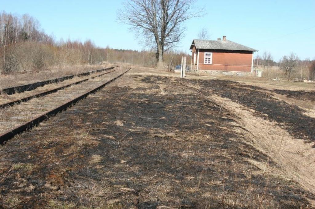 Dažviet rajonā jau ir novērotas vietas, kur ir dedzināta kūla. Nepieskatīta uguns ātri var pārmesties uz tuvējo mežu.
Autors: Gatis Bogdanovs