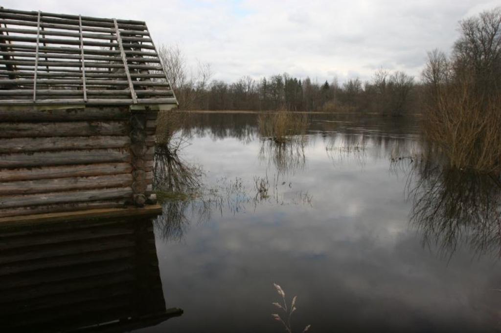 Pededzes upe, izkāpjot no krastiem, appludina tuvējo māju pagalmus, tīrumus un pļavas. 