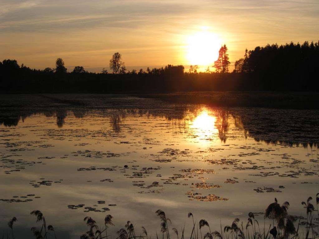 Autors: Tamāra Ulase