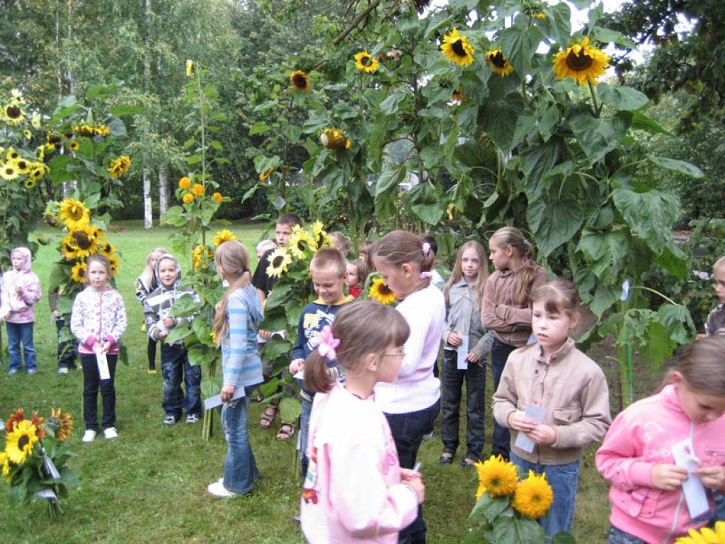 Autors: Diāna Odumiņa