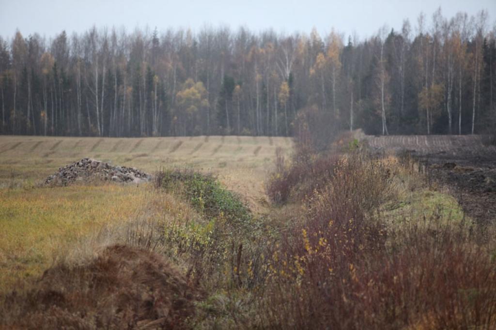 Gulbenes novadā nav neviena pagasta, kurā nebūtu parāda par zemes nodokli.
Autors: Gatis Bogdanovs