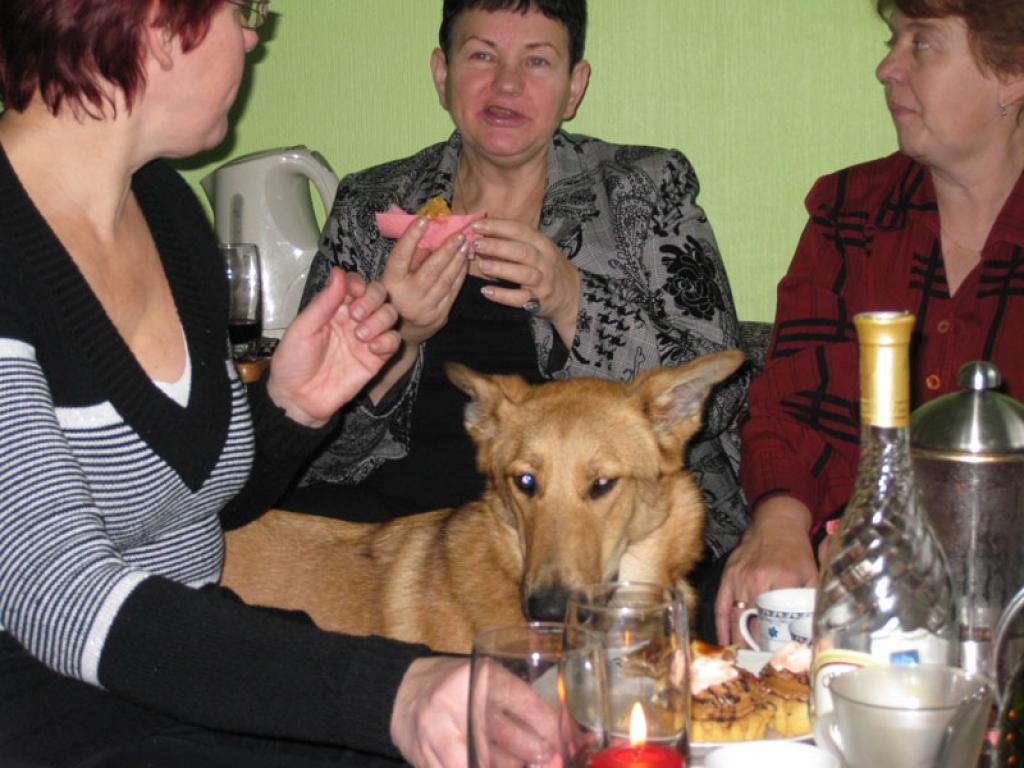 Autors: Diāna Odumiņa