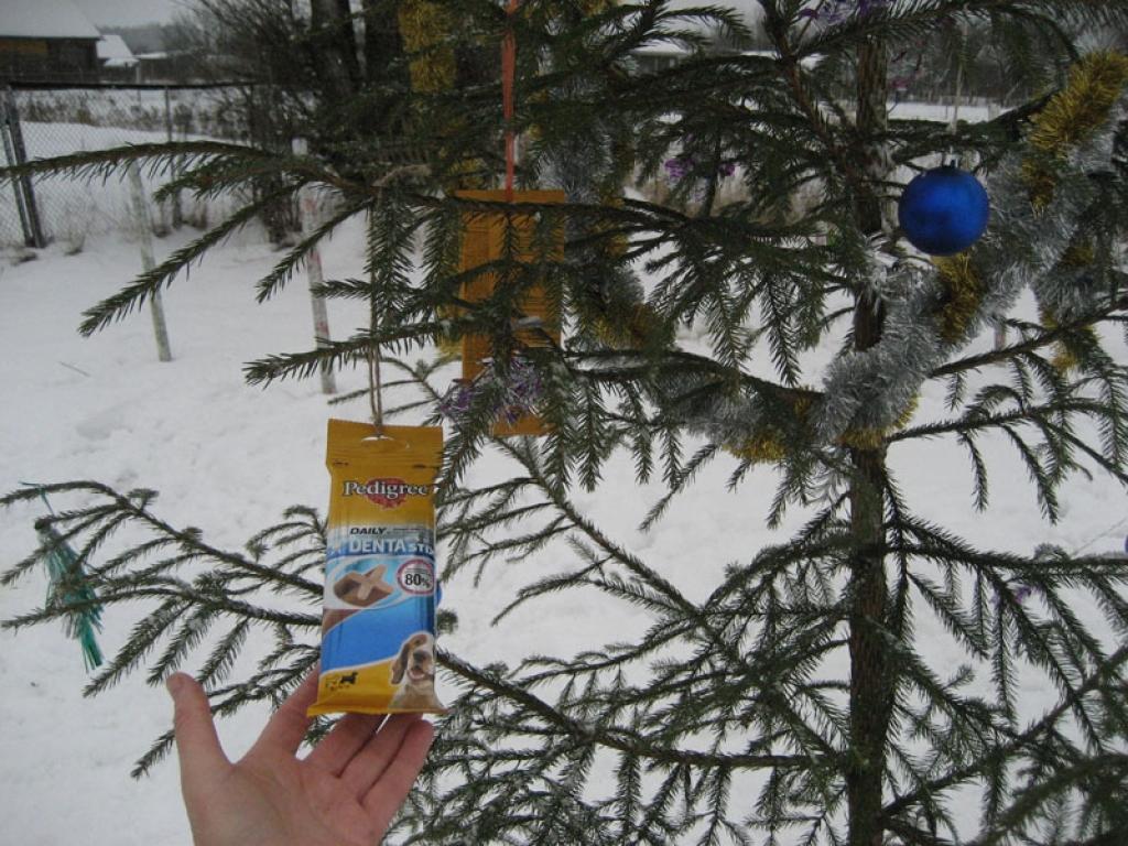 Autors: Diāna Odumiņa