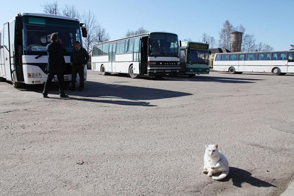 Autors: Gatis Bogdanovs