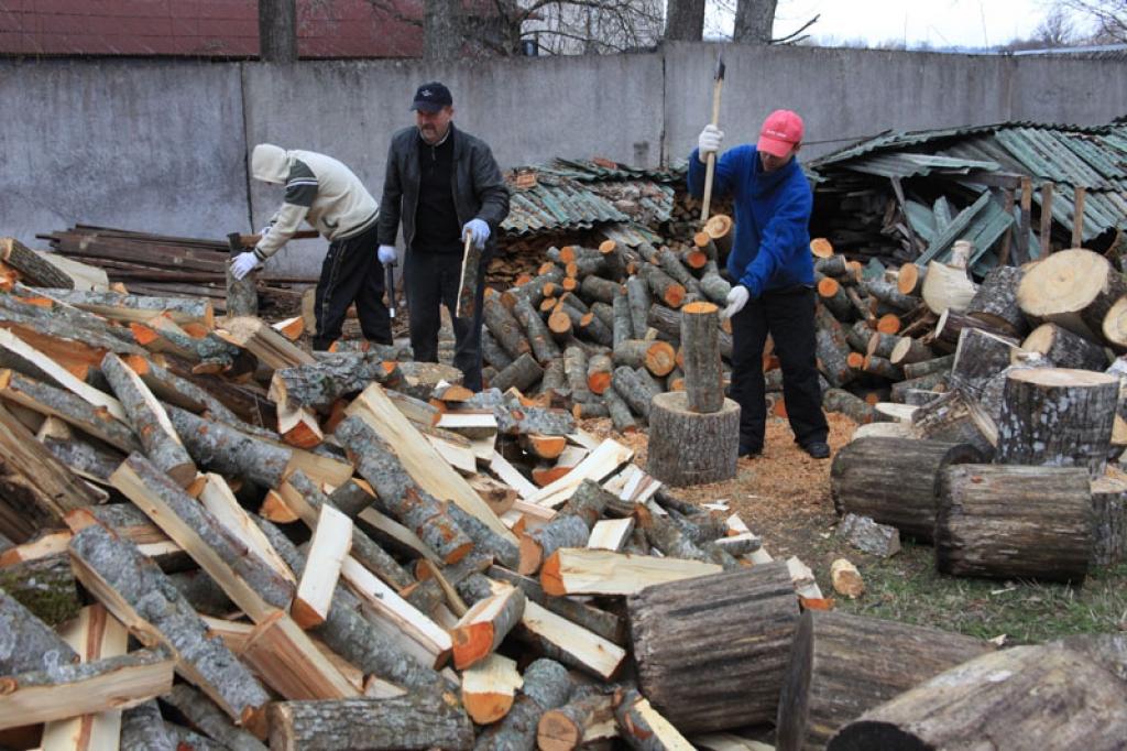 Autors: Gatis Bogdanovs