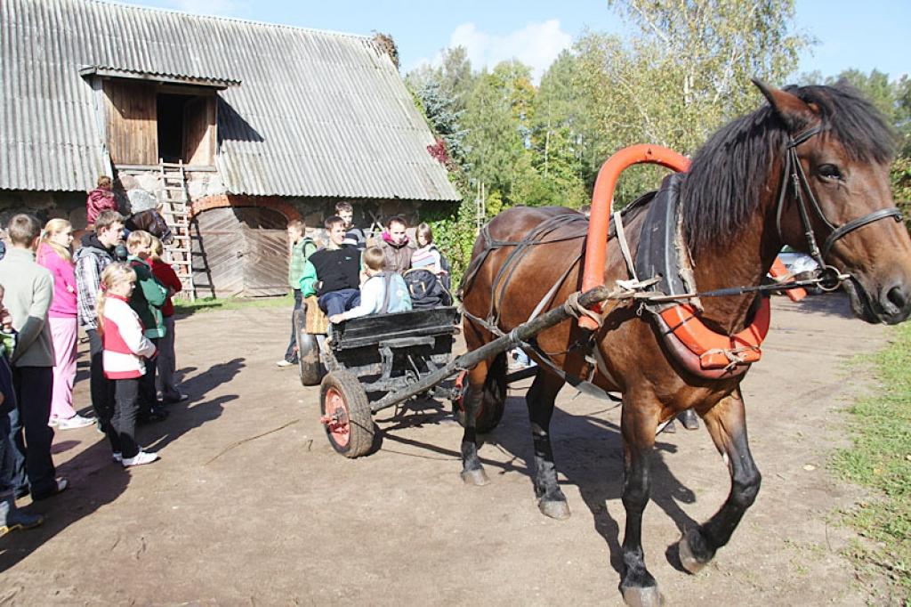 Autors: Gatis Bogdanovs