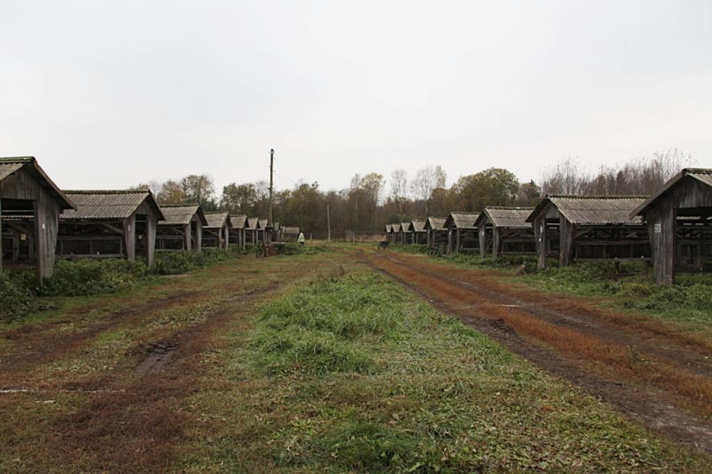 Autors: Pārsla Konrāde