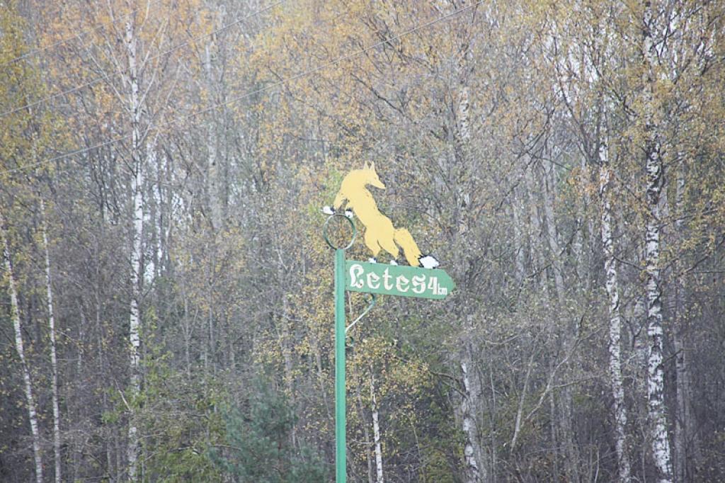 Autors: Pārsla Konrāde