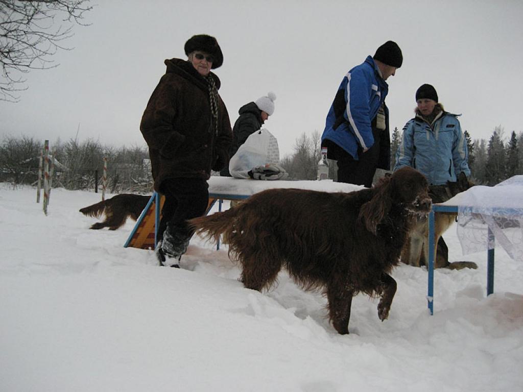 Autors: Diāna Odumiņa