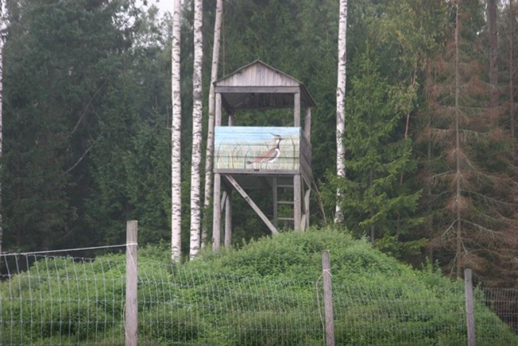 Autors: Pārsla Konrāde