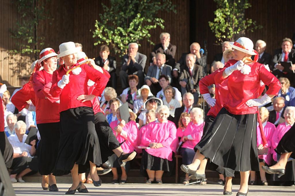 Autors: Gatis Bogdanovs