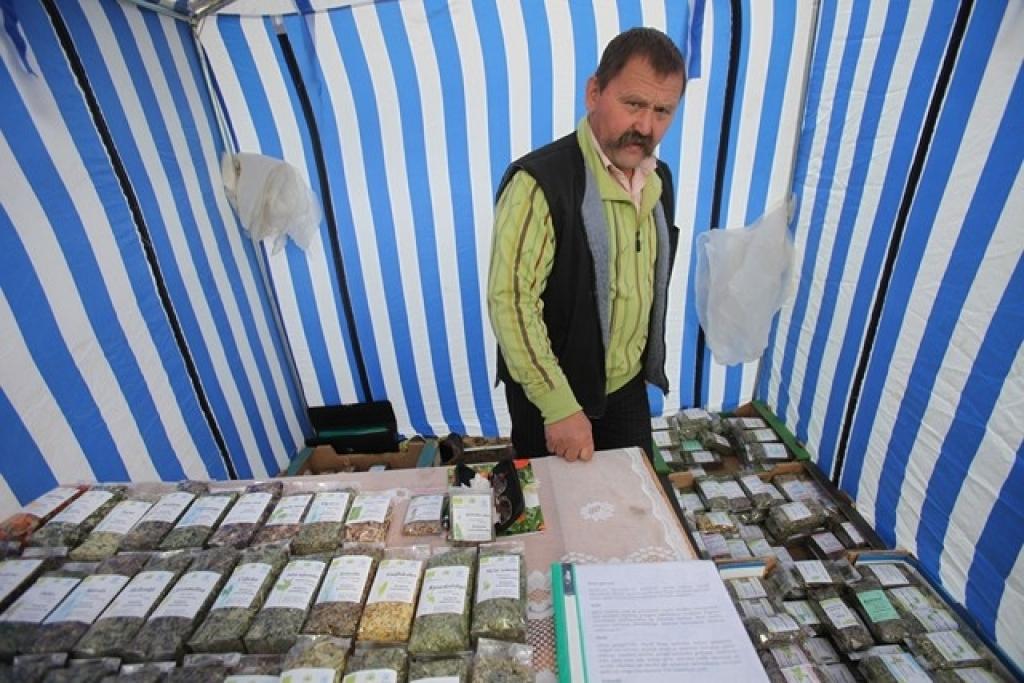 Autors: Gatis Bogdanovs