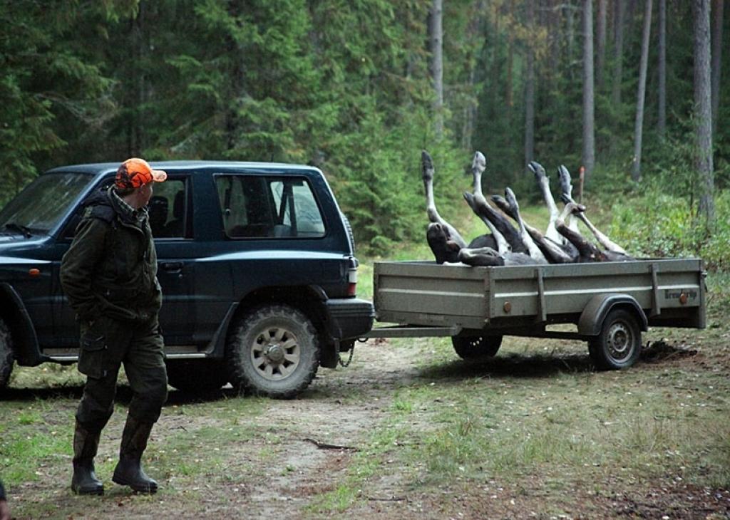 Autors: Gatis Bogdanovs