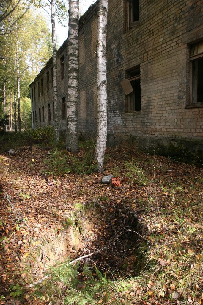 Autors: Gatis Bogdanovs