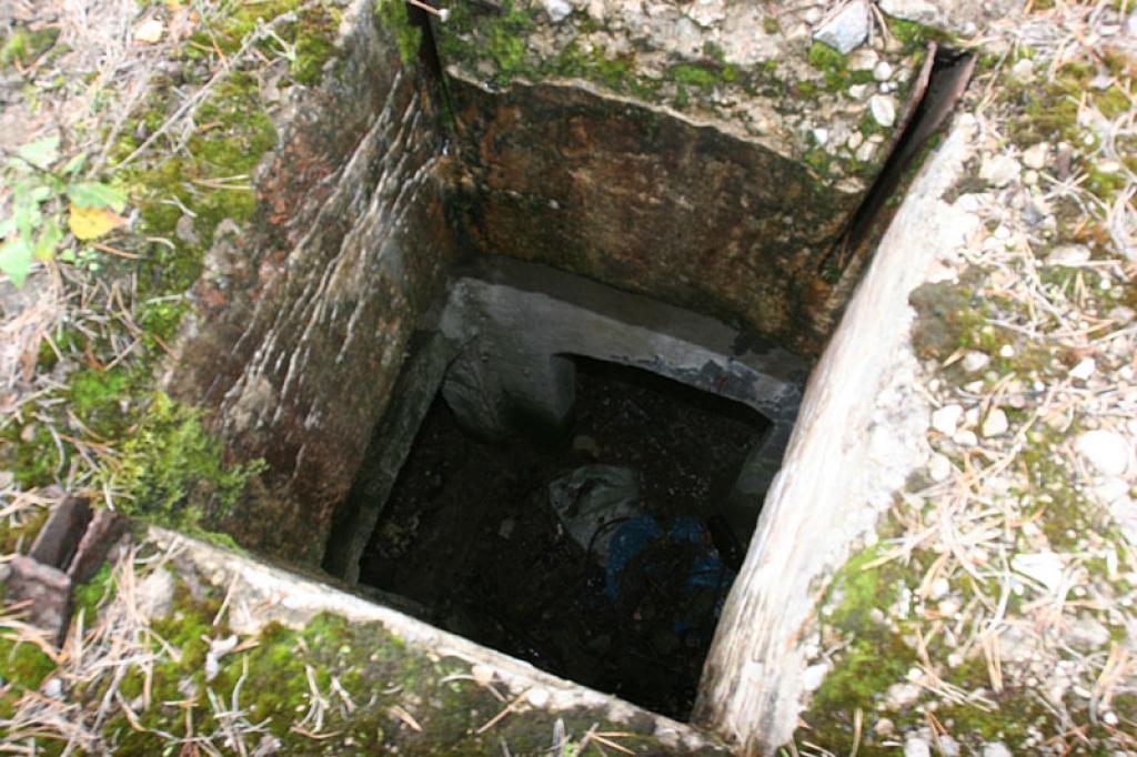 Autors: Gatis Bogdanovs