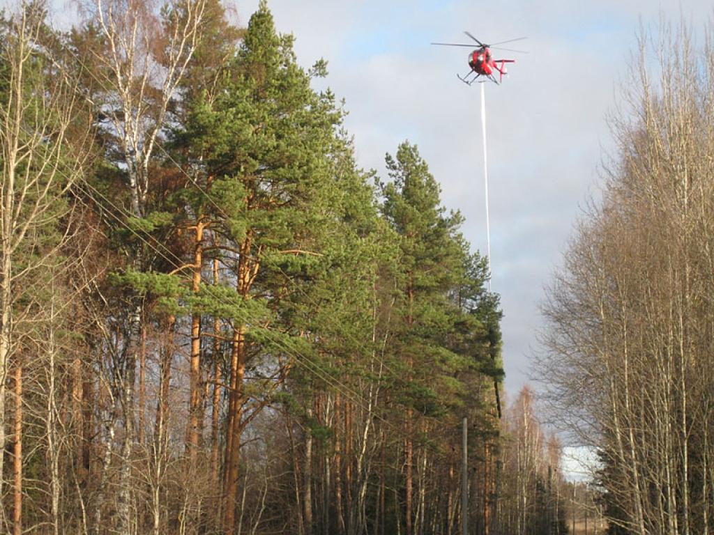 Autors: Līga Vīksna