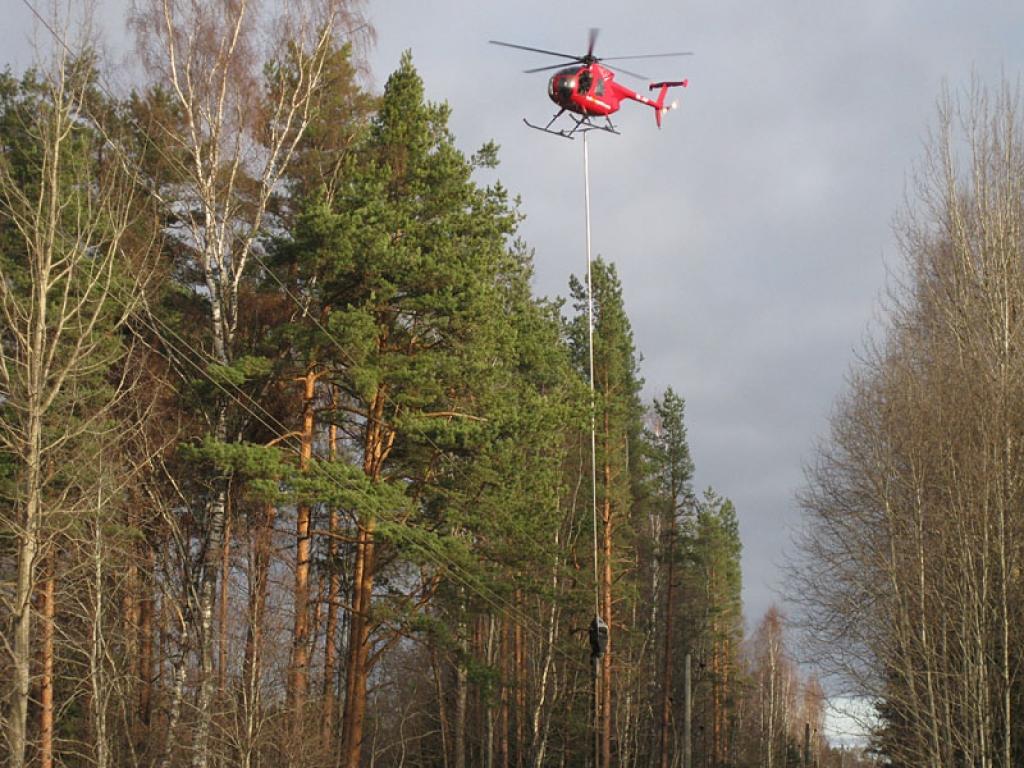 Autors: Līga Vīksna