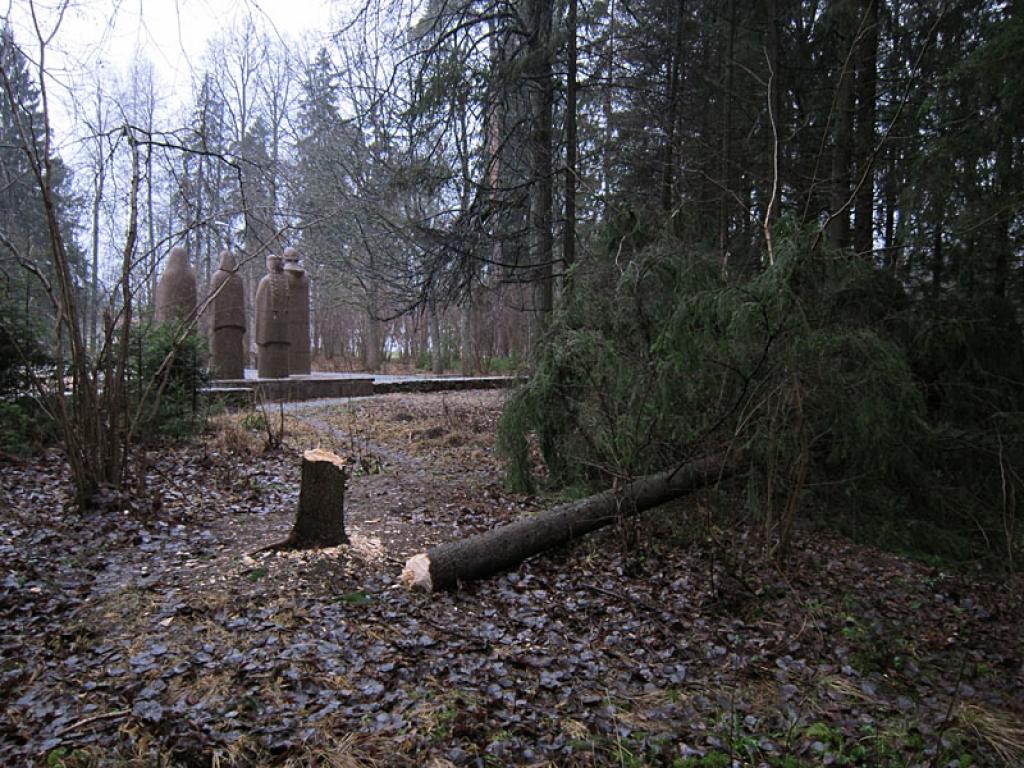 Interesants skats Spārītes parkā paveras aiz Brāļu kapiem. Kāds ir palīdzējis stiprajam vējam nogāzt resnu egli. Labi ka vēl neuzgāzās pieminekļiem!