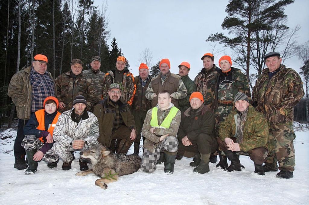 Pagājušās nedēļas nogalē mednieku kluba “Ievugrava” medību platībās tika nomedīts liels vilks. Kluba vadītājs Raivis Kundrats stāsta, ka šoreiz veiksme uzsmaidījusi viesmedniekam Aivaram Krastiņam no Rīgas, kurš todien bija devies medībās...