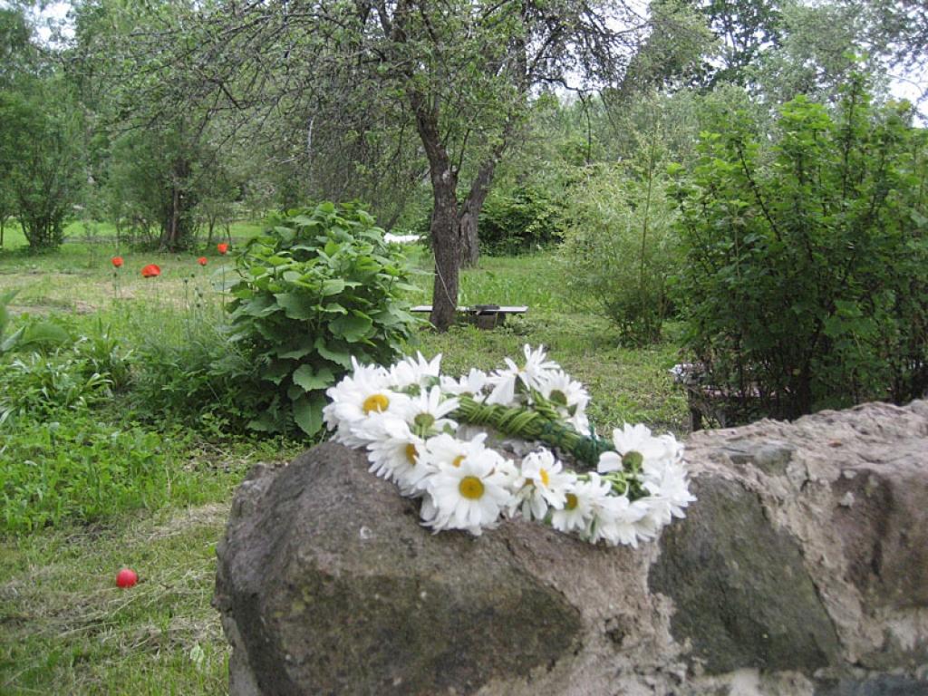 Autors: Diāna Odumiņa