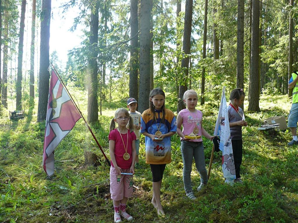 Dzirkstele.lv raksta attēla aizvietotājs