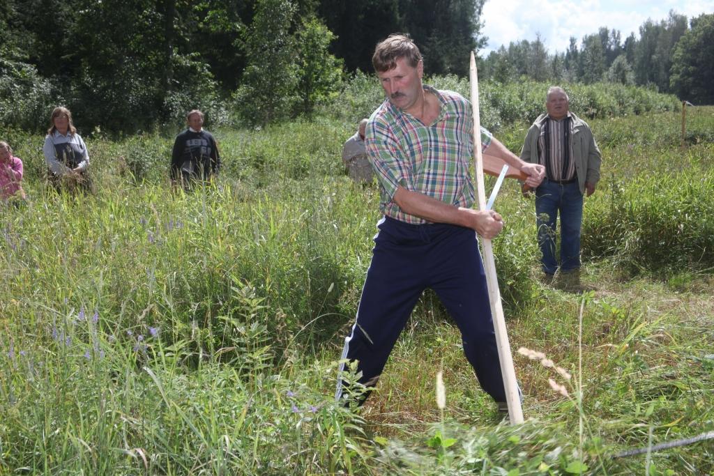 Autors: Gatis Bogdanovs