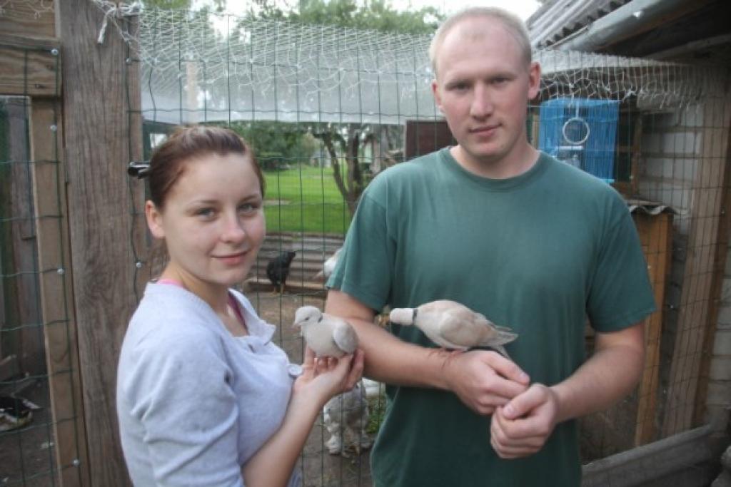 Autors: Gatis Bogdanovs