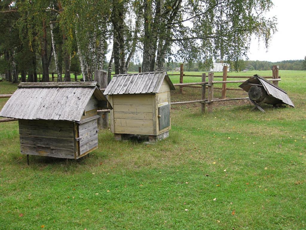 Setomā karalistē Igaunijā 

Gar pašu Krievijas robežu Igaunijā stiepjas Setomā – zeme, kur dzīvo seti. Setu tautai ir ne tikai sava valoda, bet arī savs karogs, himna un karaliene. Setu tautasdziesmā lēlo dziedātājs improvizē vārdus, kurus...
