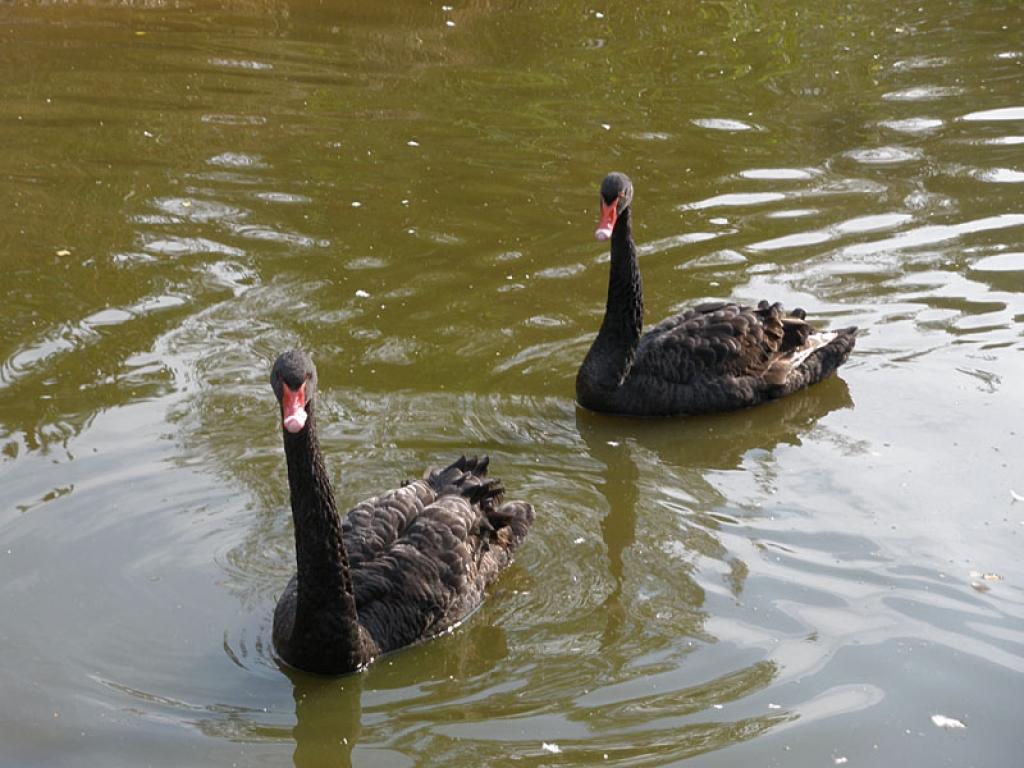 Setomā karalistē Igaunijā 

Gar pašu Krievijas robežu Igaunijā stiepjas Setomā – zeme, kur dzīvo seti. Setu tautai ir ne tikai sava valoda, bet arī savs karogs, himna un karaliene. Setu tautasdziesmā lēlo dziedātājs improvizē vārdus, kurus...