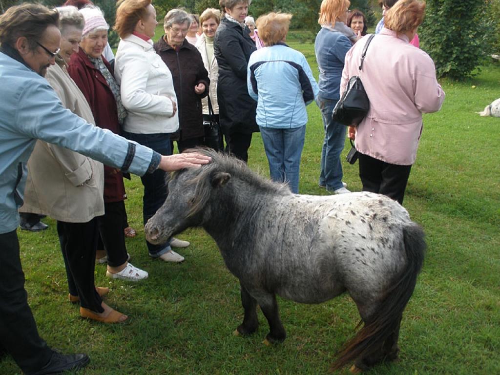 Setomā karalistē Igaunijā 

Gar pašu Krievijas robežu Igaunijā stiepjas Setomā – zeme, kur dzīvo seti. Setu tautai ir ne tikai sava valoda, bet arī savs karogs, himna un karaliene. Setu tautasdziesmā lēlo dziedātājs improvizē vārdus, kurus...