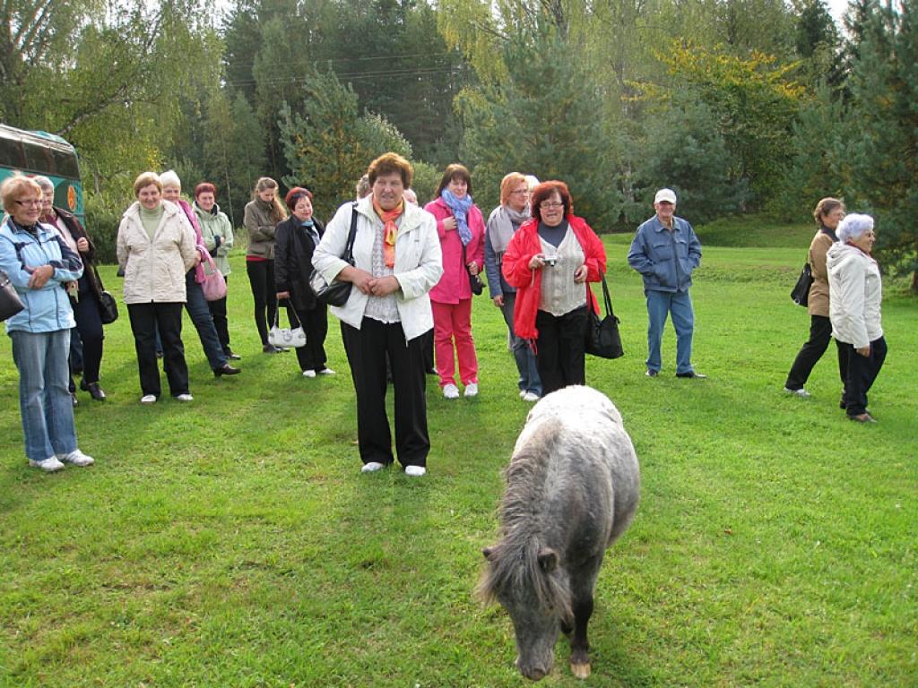 Setomā karalistē Igaunijā 

Gar pašu Krievijas robežu Igaunijā stiepjas Setomā – zeme, kur dzīvo seti. Setu tautai ir ne tikai sava valoda, bet arī savs karogs, himna un karaliene. Setu tautasdziesmā lēlo dziedātājs improvizē vārdus, kurus...