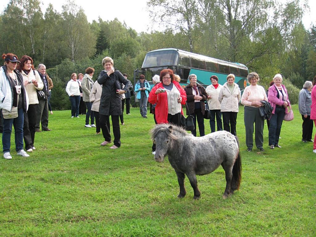 Setomā karalistē Igaunijā 

Gar pašu Krievijas robežu Igaunijā stiepjas Setomā – zeme, kur dzīvo seti. Setu tautai ir ne tikai sava valoda, bet arī savs karogs, himna un karaliene. Setu tautasdziesmā lēlo dziedātājs improvizē vārdus, kurus...
