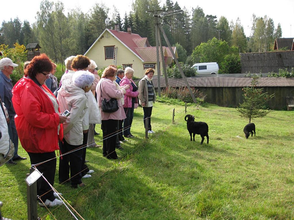 Setomā karalistē Igaunijā 

Gar pašu Krievijas robežu Igaunijā stiepjas Setomā – zeme, kur dzīvo seti. Setu tautai ir ne tikai sava valoda, bet arī savs karogs, himna un karaliene. Setu tautasdziesmā lēlo dziedātājs improvizē vārdus, kurus...