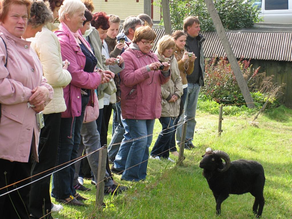 Setomā karalistē Igaunijā 

Gar pašu Krievijas robežu Igaunijā stiepjas Setomā – zeme, kur dzīvo seti. Setu tautai ir ne tikai sava valoda, bet arī savs karogs, himna un karaliene. Setu tautasdziesmā lēlo dziedātājs improvizē vārdus, kurus...