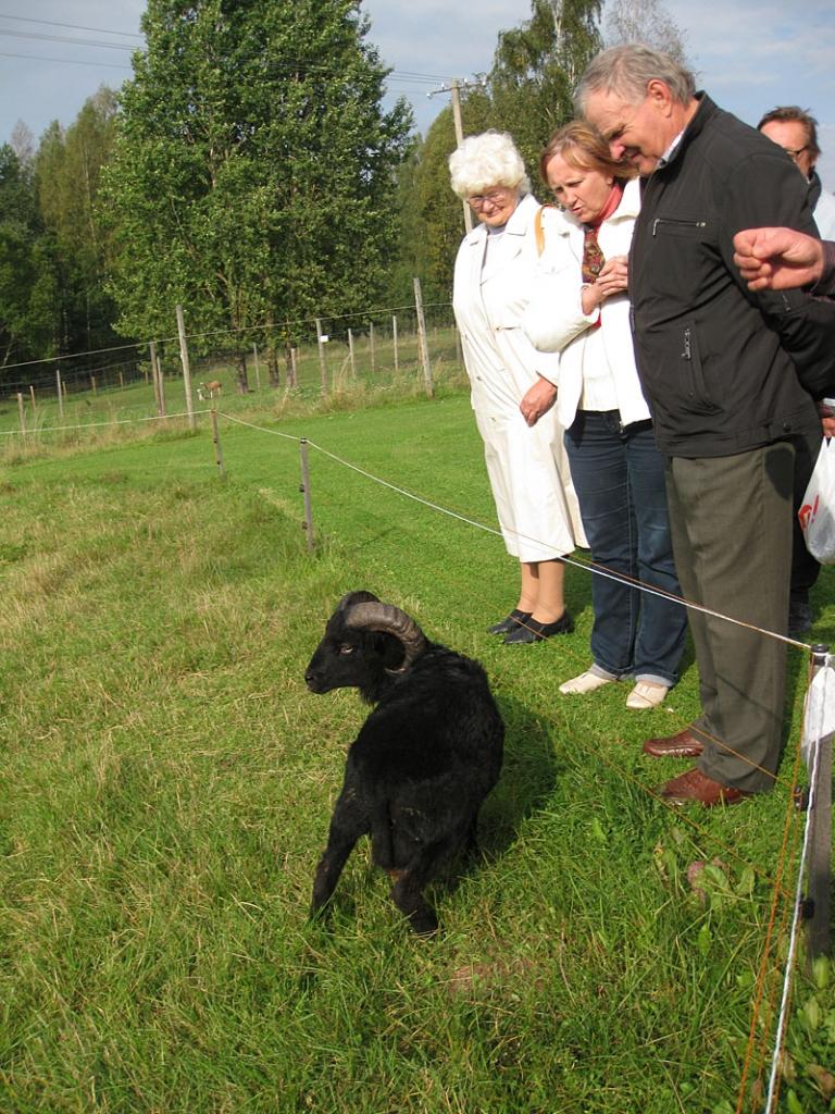 Setomā karalistē Igaunijā 

Gar pašu Krievijas robežu Igaunijā stiepjas Setomā – zeme, kur dzīvo seti. Setu tautai ir ne tikai sava valoda, bet arī savs karogs, himna un karaliene. Setu tautasdziesmā lēlo dziedātājs improvizē vārdus, kurus...