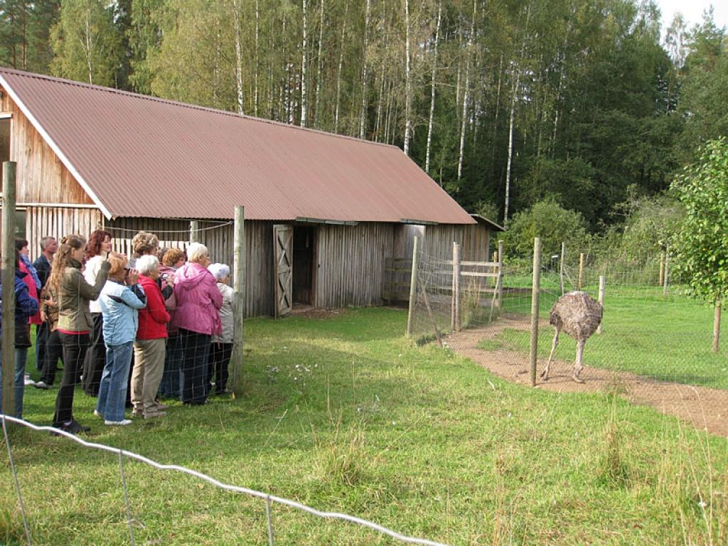 Setomā karalistē Igaunijā 

Gar pašu Krievijas robežu Igaunijā stiepjas Setomā – zeme, kur dzīvo seti. Setu tautai ir ne tikai sava valoda, bet arī savs karogs, himna un karaliene. Setu tautasdziesmā lēlo dziedātājs improvizē vārdus, kurus...