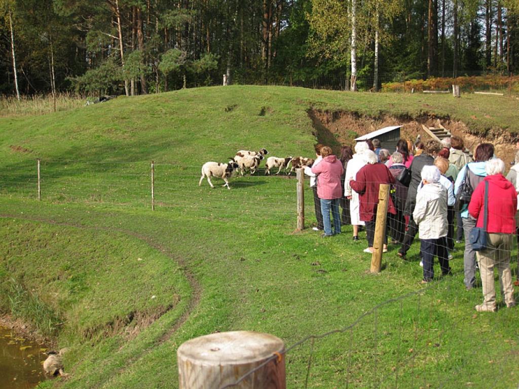 Setomā karalistē Igaunijā 

Gar pašu Krievijas robežu Igaunijā stiepjas Setomā – zeme, kur dzīvo seti. Setu tautai ir ne tikai sava valoda, bet arī savs karogs, himna un karaliene. Setu tautasdziesmā lēlo dziedātājs improvizē vārdus, kurus...