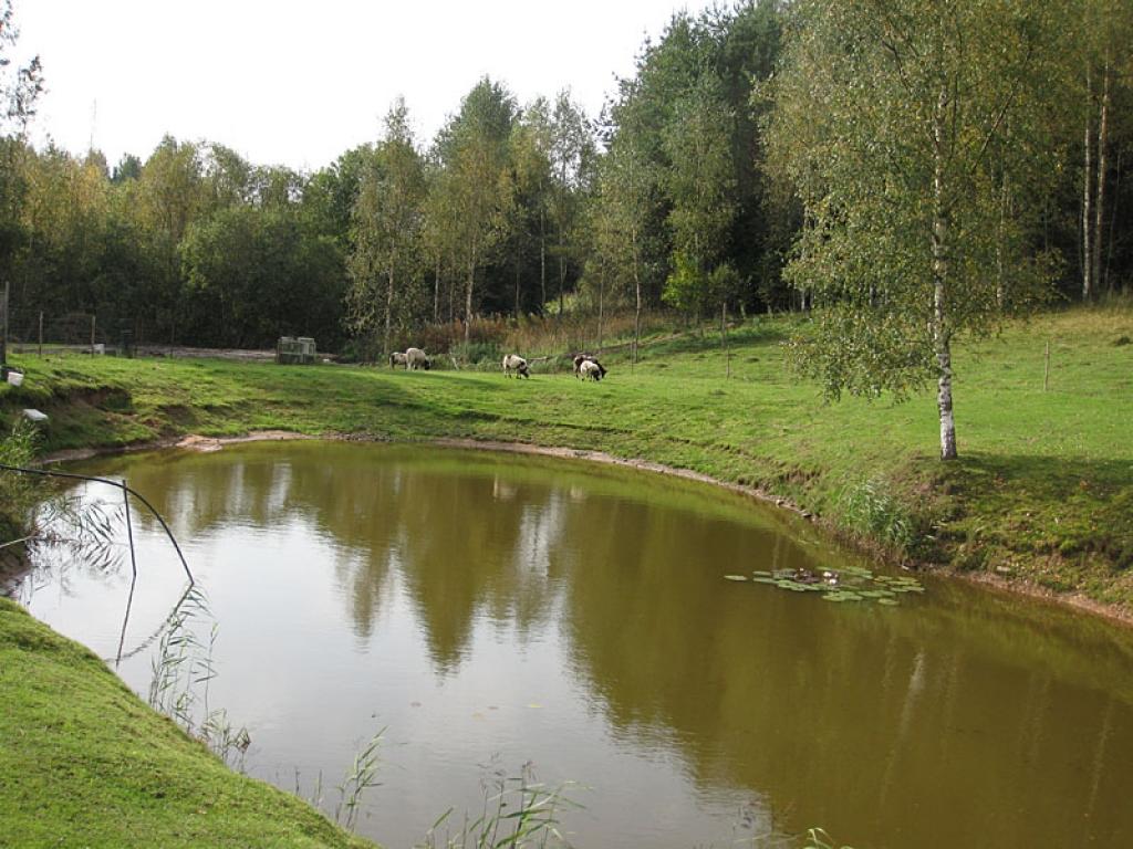 Setomā karalistē Igaunijā 

Gar pašu Krievijas robežu Igaunijā stiepjas Setomā – zeme, kur dzīvo seti. Setu tautai ir ne tikai sava valoda, bet arī savs karogs, himna un karaliene. Setu tautasdziesmā lēlo dziedātājs improvizē vārdus, kurus...