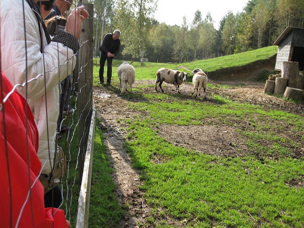 Setomā karalistē Igaunijā 

Gar pašu Krievijas robežu Igaunijā stiepjas Setomā – zeme, kur dzīvo seti. Setu tautai ir ne tikai sava valoda, bet arī savs karogs, himna un karaliene. Setu tautasdziesmā lēlo dziedātājs improvizē vārdus, kurus...