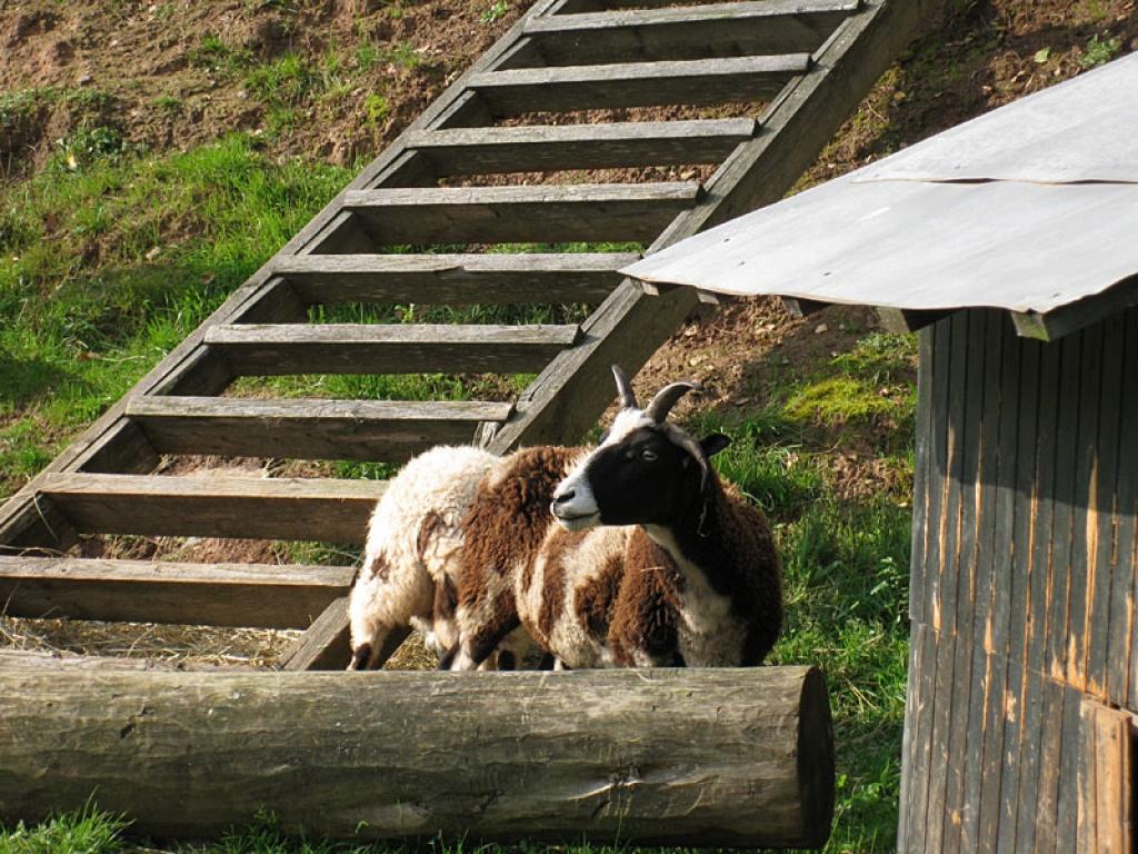 Setomā karalistē Igaunijā 

Gar pašu Krievijas robežu Igaunijā stiepjas Setomā – zeme, kur dzīvo seti. Setu tautai ir ne tikai sava valoda, bet arī savs karogs, himna un karaliene. Setu tautasdziesmā lēlo dziedātājs improvizē vārdus, kurus...