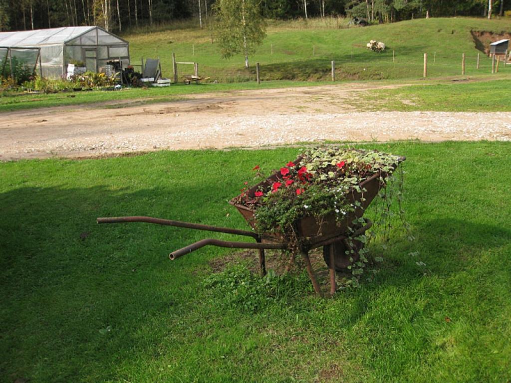 Setomā karalistē Igaunijā 

Gar pašu Krievijas robežu Igaunijā stiepjas Setomā – zeme, kur dzīvo seti. Setu tautai ir ne tikai sava valoda, bet arī savs karogs, himna un karaliene. Setu tautasdziesmā lēlo dziedātājs improvizē vārdus, kurus...