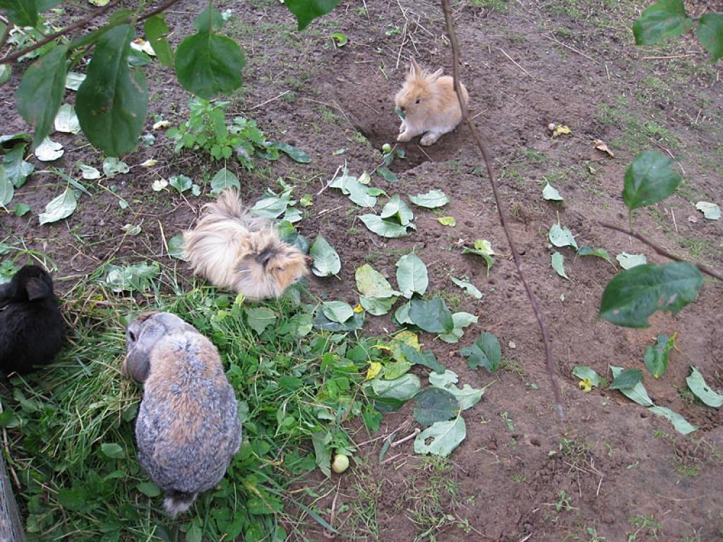 Setomā karalistē Igaunijā 

Gar pašu Krievijas robežu Igaunijā stiepjas Setomā – zeme, kur dzīvo seti. Setu tautai ir ne tikai sava valoda, bet arī savs karogs, himna un karaliene. Setu tautasdziesmā lēlo dziedātājs improvizē vārdus, kurus...