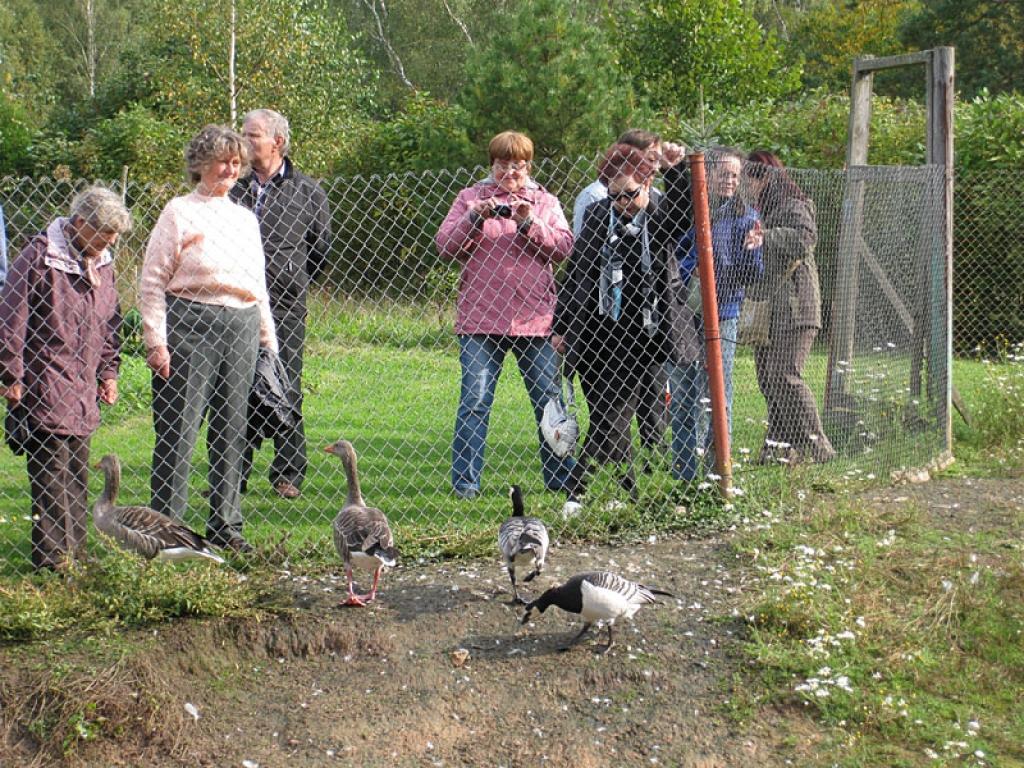 Setomā karalistē Igaunijā 

Gar pašu Krievijas robežu Igaunijā stiepjas Setomā – zeme, kur dzīvo seti. Setu tautai ir ne tikai sava valoda, bet arī savs karogs, himna un karaliene. Setu tautasdziesmā lēlo dziedātājs improvizē vārdus, kurus...