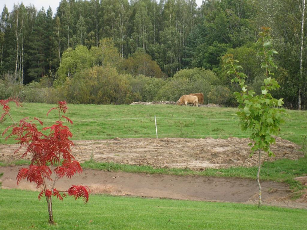 Setomā karalistē Igaunijā 

Gar pašu Krievijas robežu Igaunijā stiepjas Setomā – zeme, kur dzīvo seti. Setu tautai ir ne tikai sava valoda, bet arī savs karogs, himna un karaliene. Setu tautasdziesmā lēlo dziedātājs improvizē vārdus, kurus...