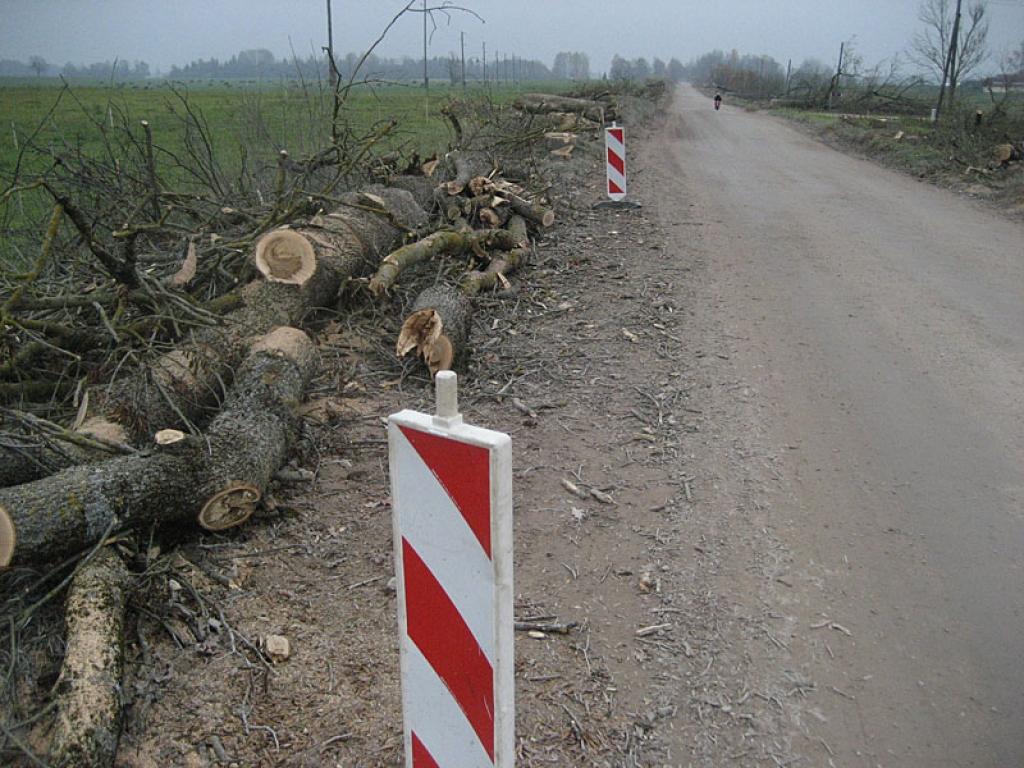 Autors: Diāna Odumiņa